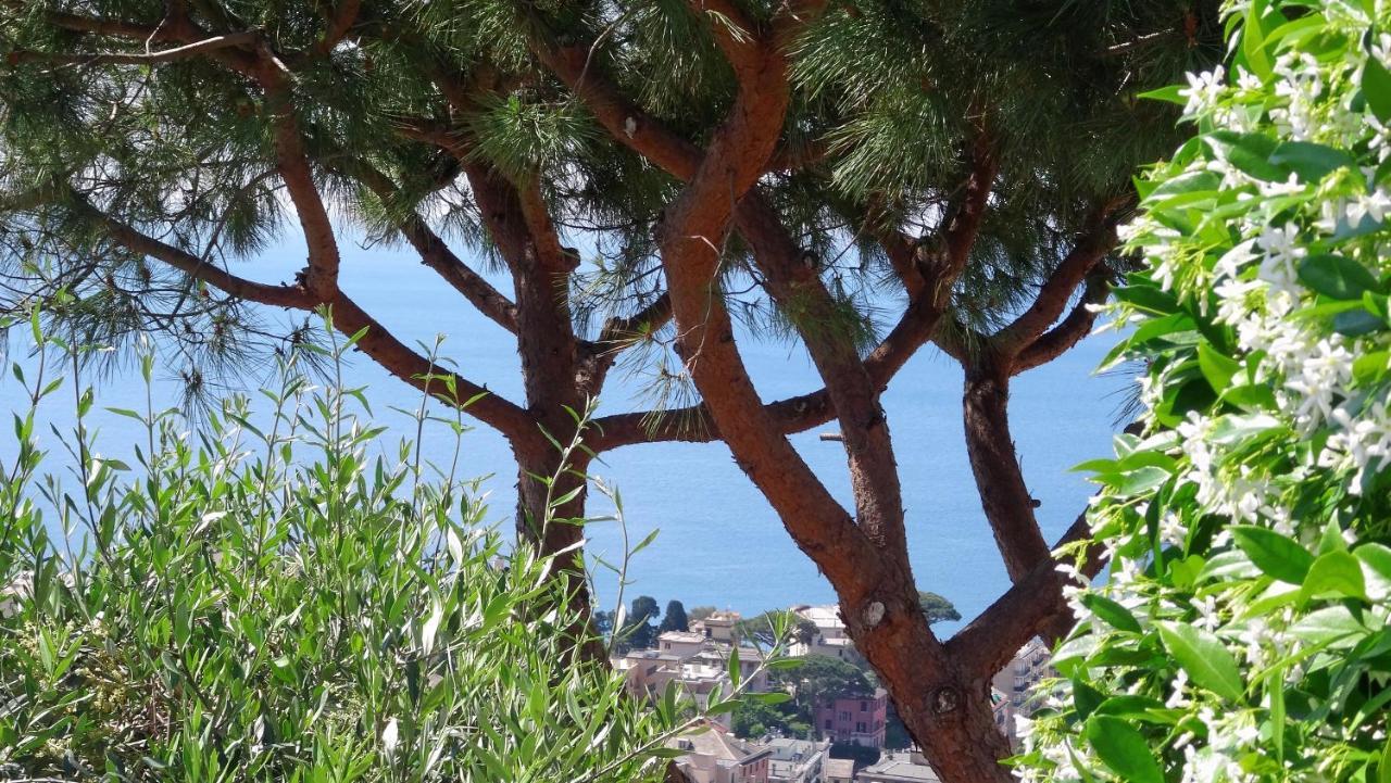 제노바 La Casa Dei Limoni B&B 외부 사진