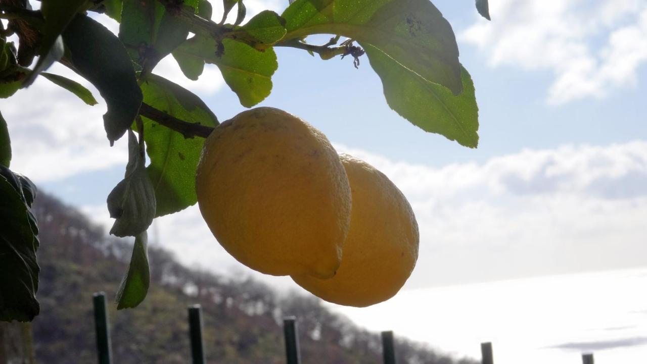 제노바 La Casa Dei Limoni B&B 외부 사진